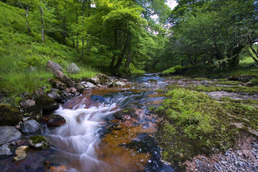 RIVER IN GLEN SCAMMADALE