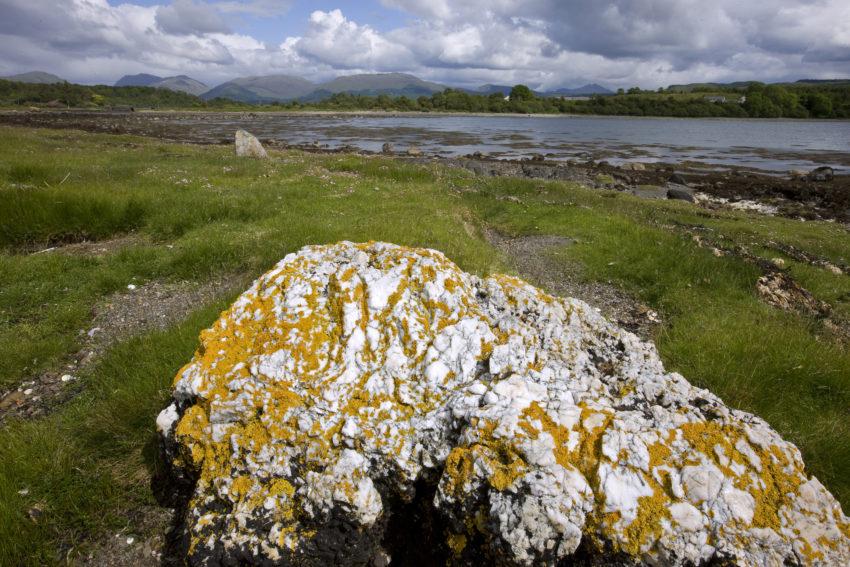 Large Quartz Boulder South End Of Island