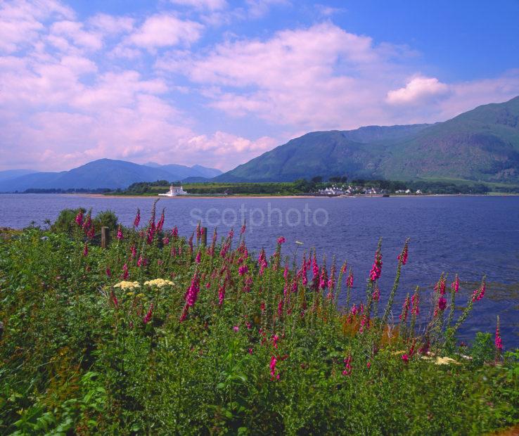 Summer View Looking Across The Corran Sound Towards Ardgour With Corran Lighthouse In View West Highlands