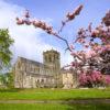 Paisley Abbey In Spring Vertical