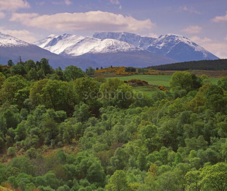 View Across Snowcapped Ben Nevis As Seen From Gairlochy