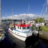 Awaiting Entrance Into Crinan Basin