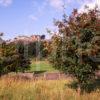 Autumn View Of Stirling Castle Rowan Trees