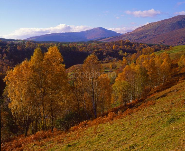 Late Autumn View Looking Down Towards Gairlochy From Near Spean Bridge Lochaber District West Highlands