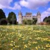 Springtime View Of Inveraray Castle Argyll