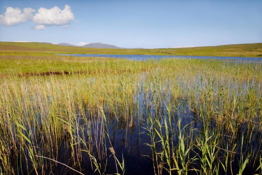 Loch Finlaggan From Reeds Island Of Islay