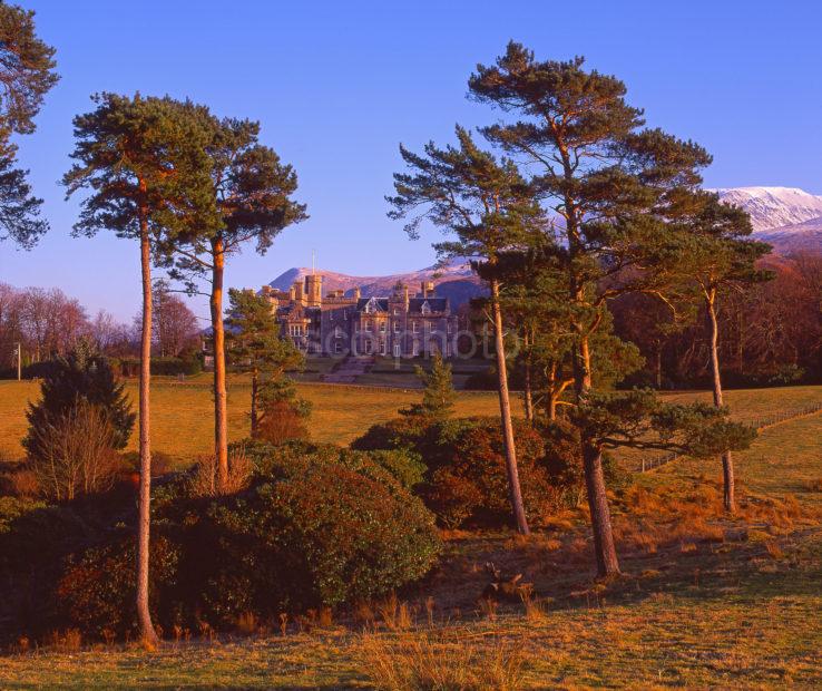 Winter View Through The Scots Pines Towards Inverlochy Castle Hotel Near Fort William Lochaber West Highlands