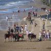 WY3Q4644 Crowds Of Central Beach