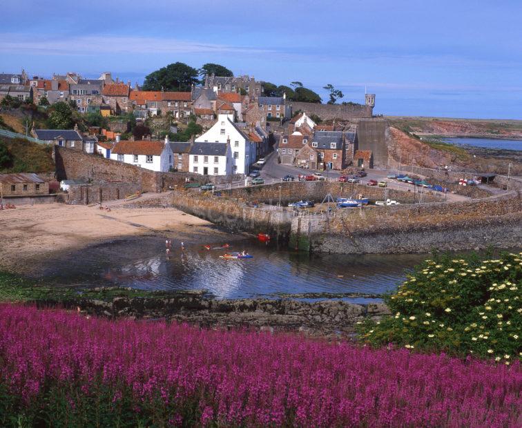 A Colourful View In Summer Towards Crail Harbour And Town Fife