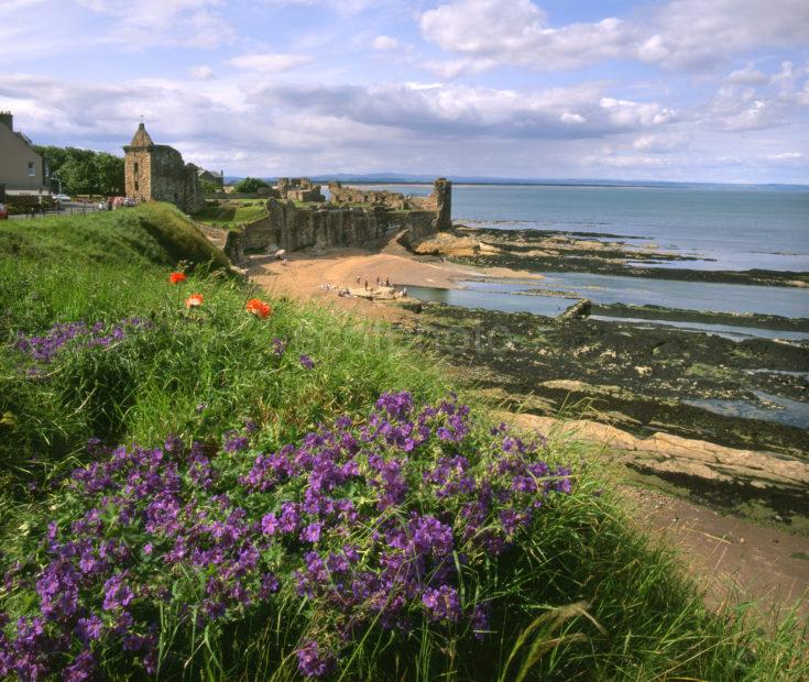 View Of St Andrews Castle Ruins S Andrews East Neuk Of Fife