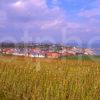 A Beautiful Summer View Across The Golden Fields Towards St Andrews Fife