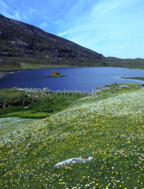 MacLeods Tower On Loch St Clair Nr Kinloch Island Of Barra