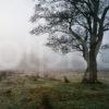 Misty Kilchurn