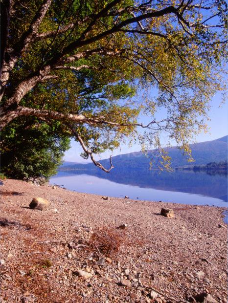 Loch Arkaig