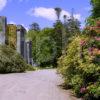 R7I8279 Armadale Castle Gardens Skye