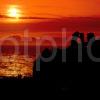 Dunure Castle Sunset With Arran Hills Ayrshire