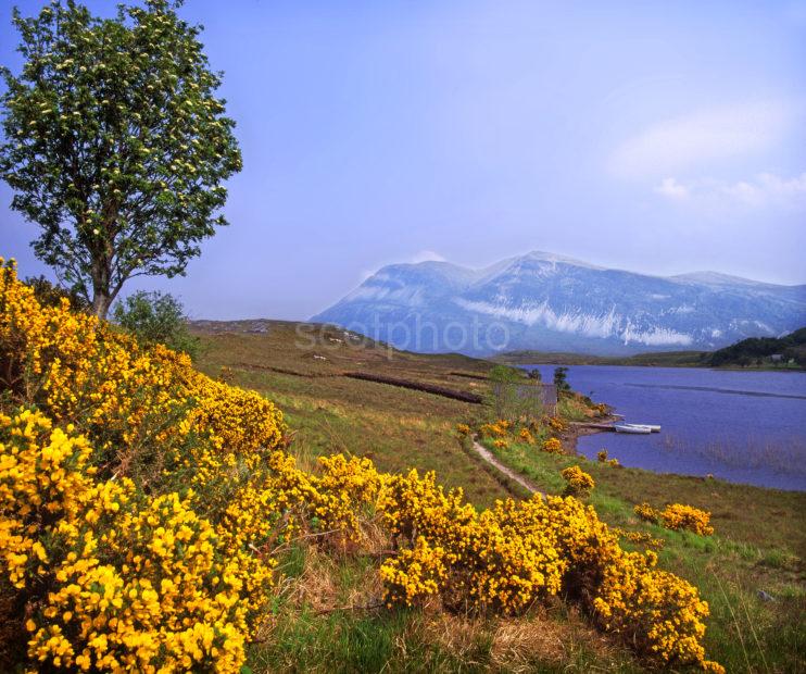 LOCH STACK AND BEN ARKLE