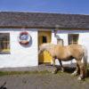 Waiting For Opening Time At Local Bar Island Of Easdale Argyll