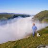 Misty Scene Overlooking Pass Of Brander From Ben Cruachan