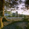 9842 Eilean Donan Castle From The Pines