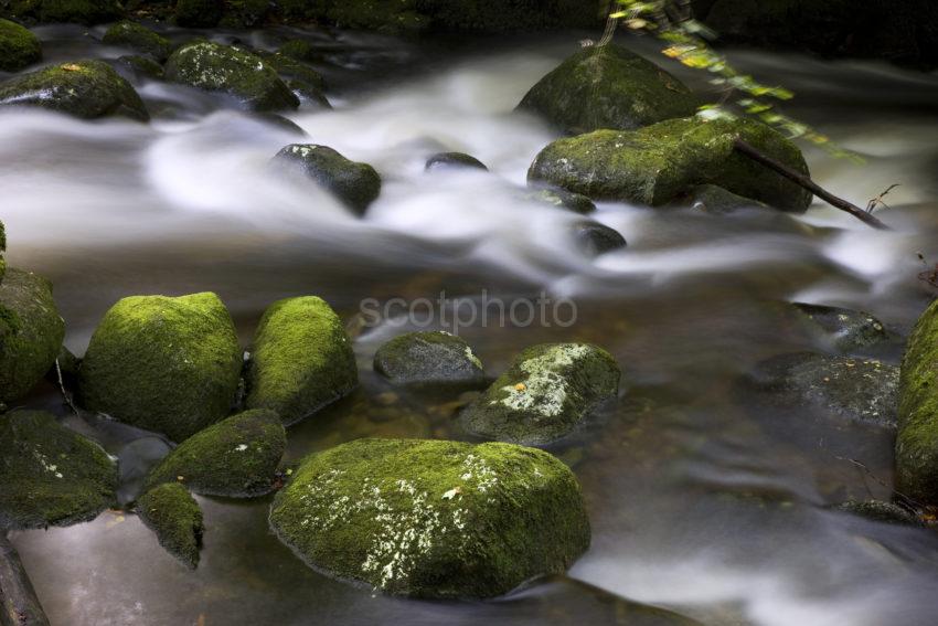 0I5D1433 Green Boulders In Flowing River