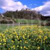 Springtime View Of Stirling Castle From The West Stirling Region