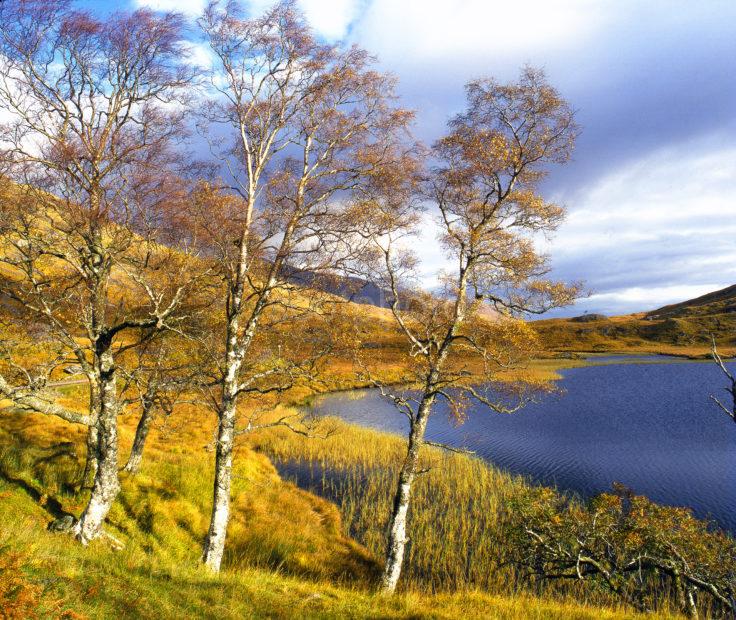 Loch Quoich