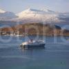 MV Isle Of Mull Portrait Winter Oban