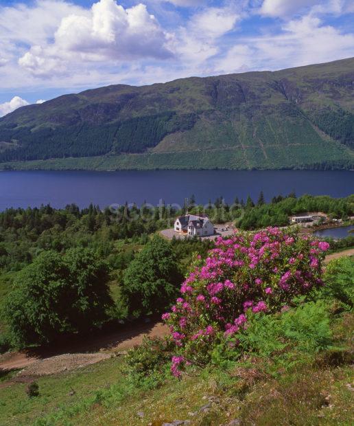 Summer View Overlooking Loch Lochy The Great Glen Scottish Highlands