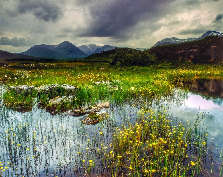 Rannoch Moor