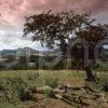 Lovely Landscape View Of The Eildon Hills From Scotts View Scottish Borders