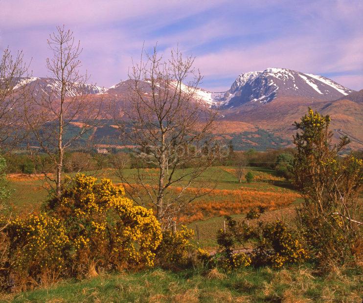 Spring View Towards Ben Nevis Lochaber