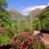 Springtime In Glen Etive Argyll