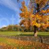 PORTRAIT IN AUTUMN OF STIRLING CASTLE CROPPED