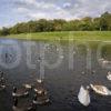 Sefton Park Liverpool