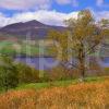 Summer View Towards Ben Lawers And Loch Tay Perthshire