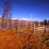 View Towards Ben Lawers And Loch Tay From The South Shore Perthshire