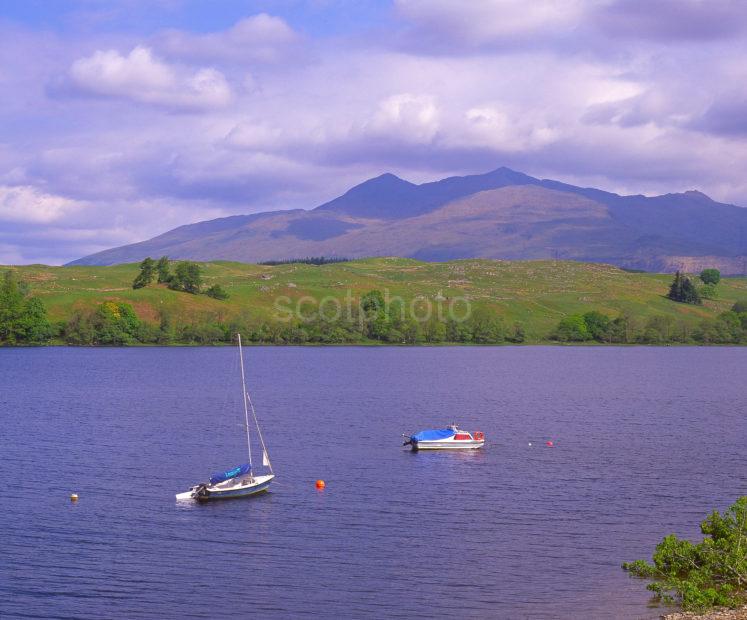 Summer View Towards Ben Cruachan Loch Etive Argyll