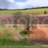 WY3Q9719 Rolling Fields Red Soil Perthshire