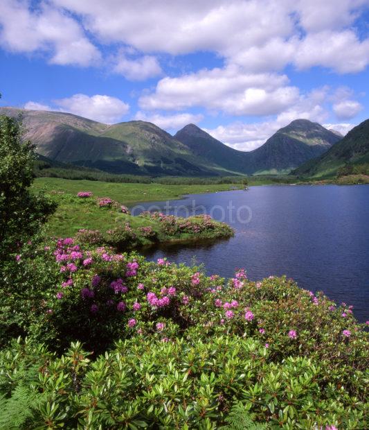 Springtime In Glen Etive With Glencoe Hills Argyll