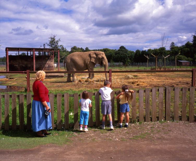 Visitors At Blair Drummond Safari Park Near Doune