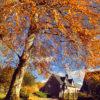 Autumn On Loch Etive Side Ardchattan Priory Cottage