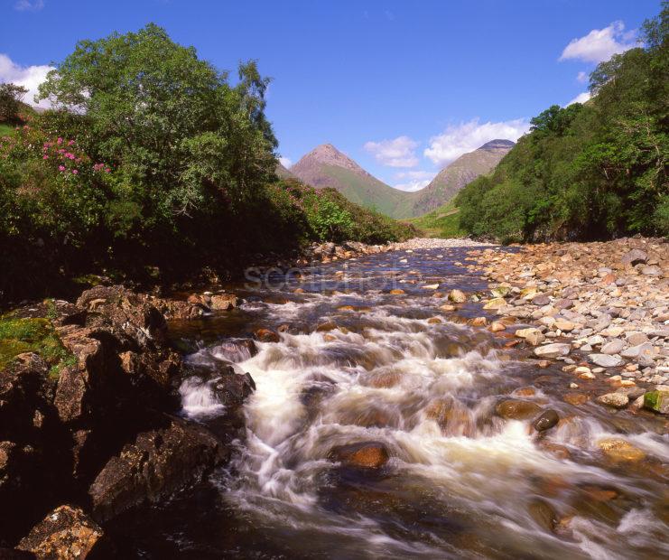 Springtime Scene In Glen Etive