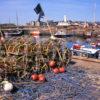 Arbroath Harbour Angus