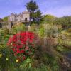 WY3Q9969 Torosay Castle From Gardens