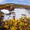 Isle Of Gigha In Spring