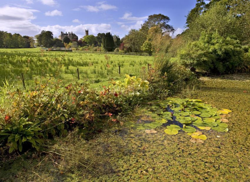 Autumn View Ardmaddy Castle From Pond