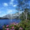 Springtime On Loch Clair Towards Beinn Eighe Torridon