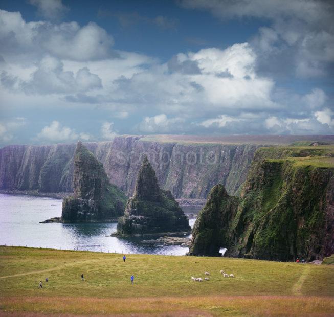 Stacks Of Duncansby Head