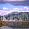 Cluster Of Yachts At Adfern On Loch Craignish Argyll